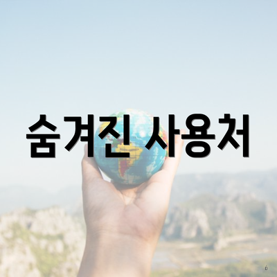 숨겨진 사용처