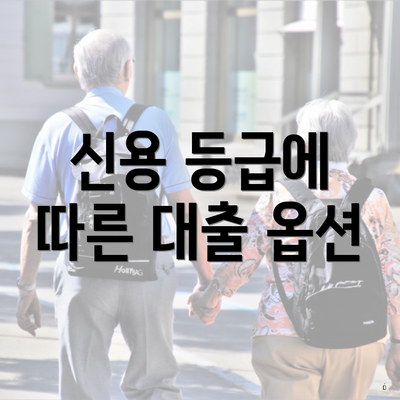 신용 등급에 따른 대출 옵션