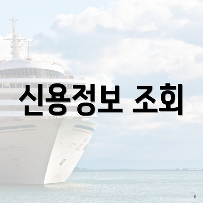신용정보 조회