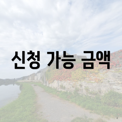 신청 가능 금액