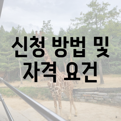 신청 방법 및 자격 요건