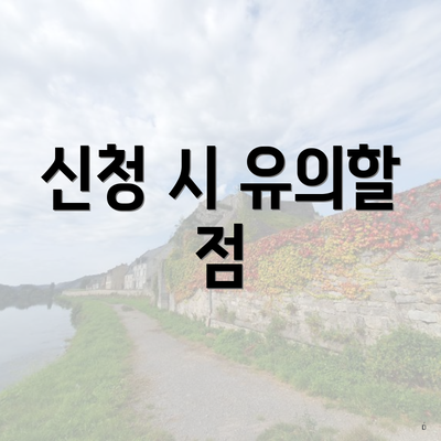 신청 시 유의할 점
