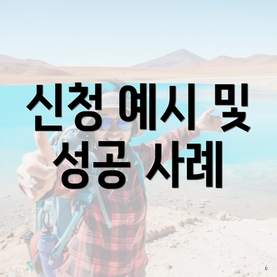 신청 예시 및 성공 사례