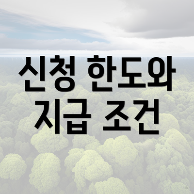 신청 한도와 지급 조건