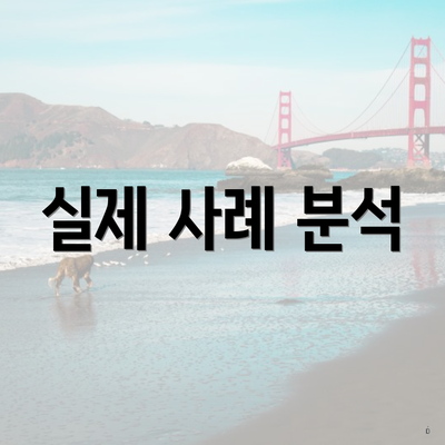 실제 사례 분석
