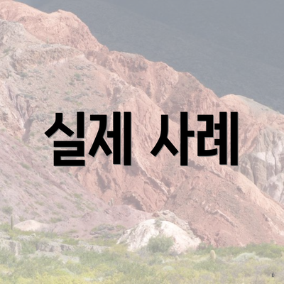 실제 사례