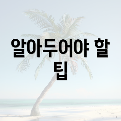 알아두어야 할 팁