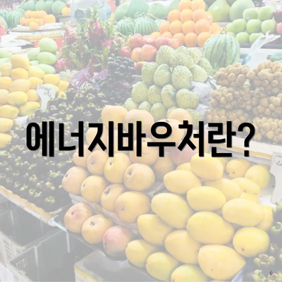 에너지바우처란?