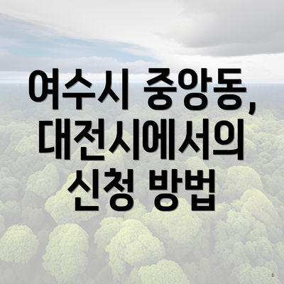 여수시 중앙동, 대전시에서의 신청 방법