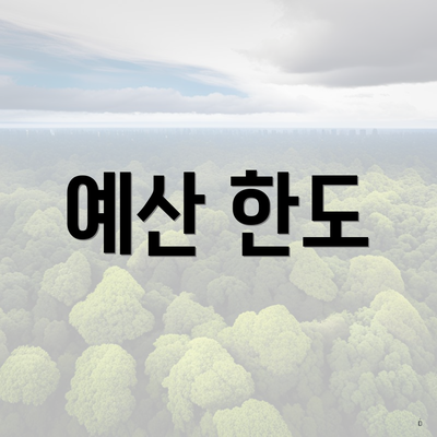 예산 한도