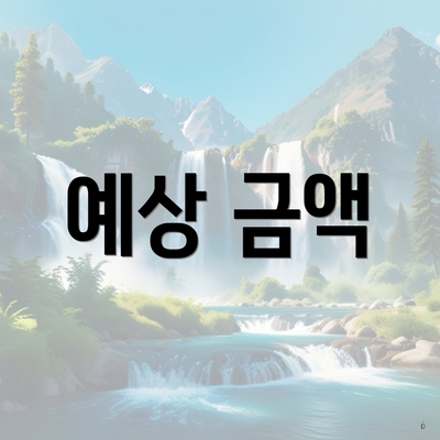 예상 금액
