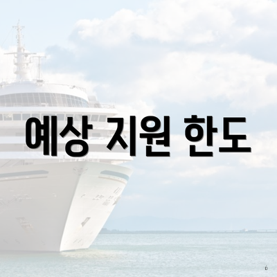 예상 지원 한도