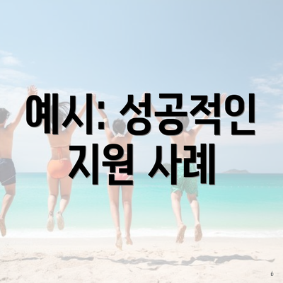 예시: 성공적인 지원 사례