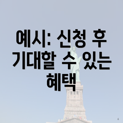 예시: 신청 후 기대할 수 있는 혜택