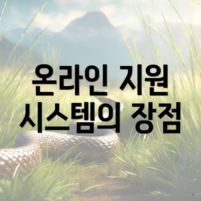 온라인 지원 시스템의 장점