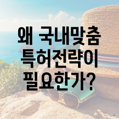 왜 국내맞춤 특허전략이 필요한가?