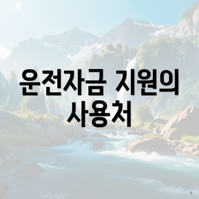 운전자금 지원의 사용처