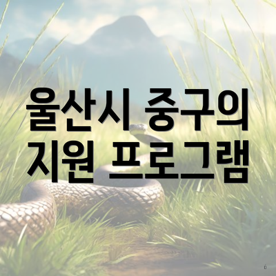 울산시 중구의 지원 프로그램