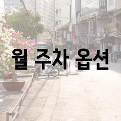 월 주차 옵션