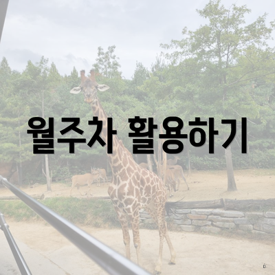 월주차 활용하기