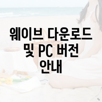 웨이브 다운로드 및 PC 버전 안내