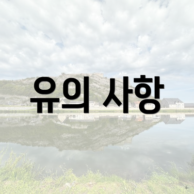 유의 사항