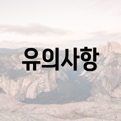 유의사항