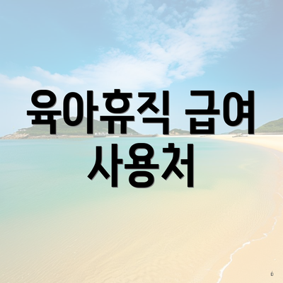 육아휴직 급여 사용처