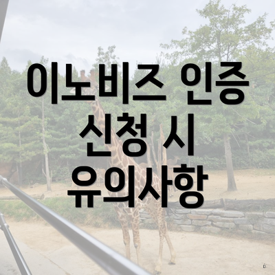 이노비즈 인증 신청 시 유의사항
