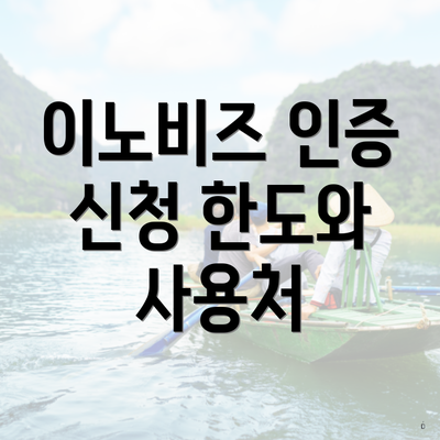 이노비즈 인증 신청 한도와 사용처