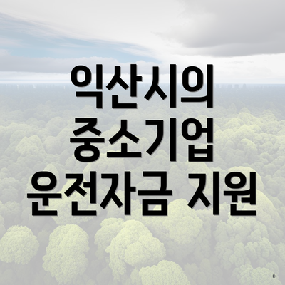 익산시의 중소기업 운전자금 지원