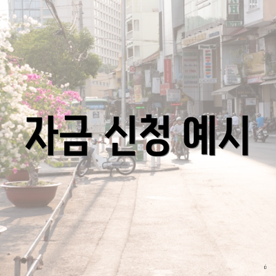 자금 신청 예시