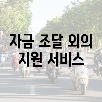 자금 조달 외의 지원 서비스
