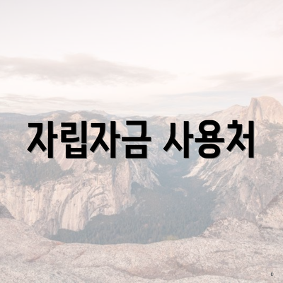 자립자금 사용처