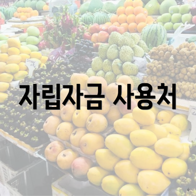 자립자금 사용처