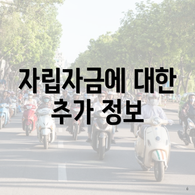 자립자금에 대한 추가 정보