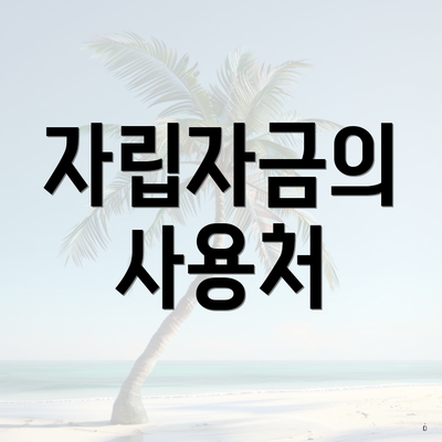 자립자금의 사용처