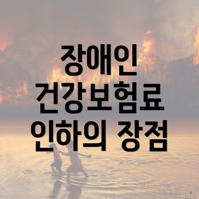 장애인 건강보험료 인하의 장점
