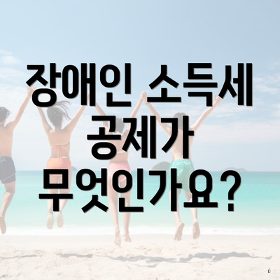 장애인 소득세 공제가 무엇인가요?