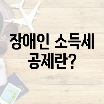 장애인 소득세 공제란?