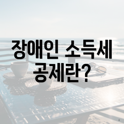 장애인 소득세 공제란?