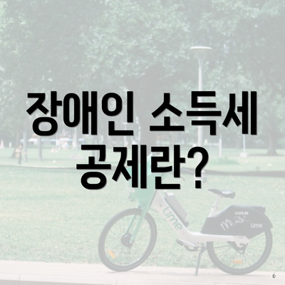 장애인 소득세 공제란?