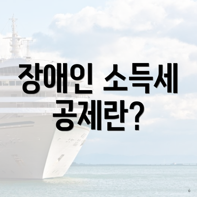 장애인 소득세 공제란?