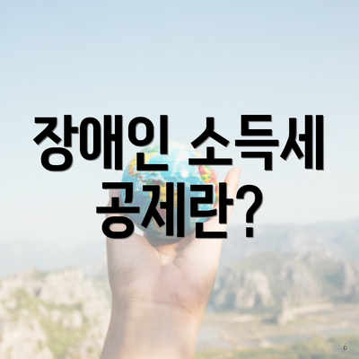 장애인 소득세 공제란?