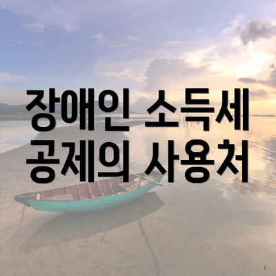 장애인 소득세 공제의 사용처