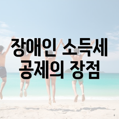 장애인 소득세 공제의 장점