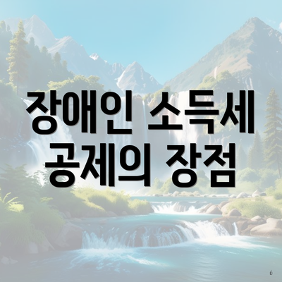장애인 소득세 공제의 장점