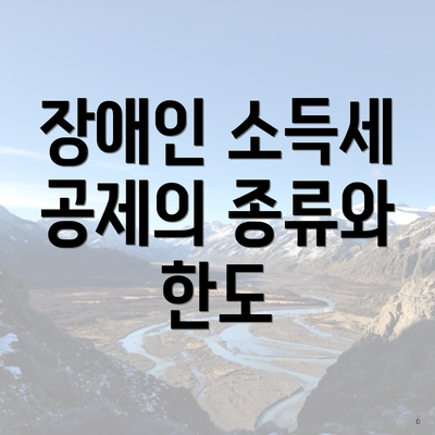 장애인 소득세 공제의 종류와 한도