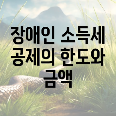 장애인 소득세 공제의 한도와 금액