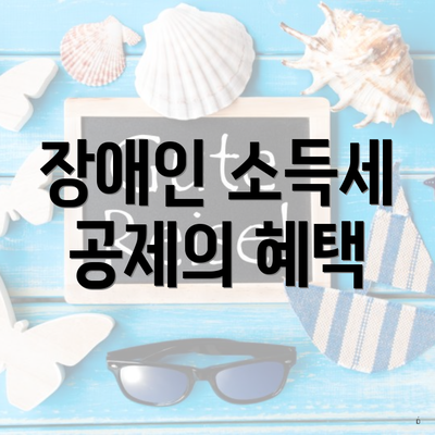 장애인 소득세 공제의 혜택
